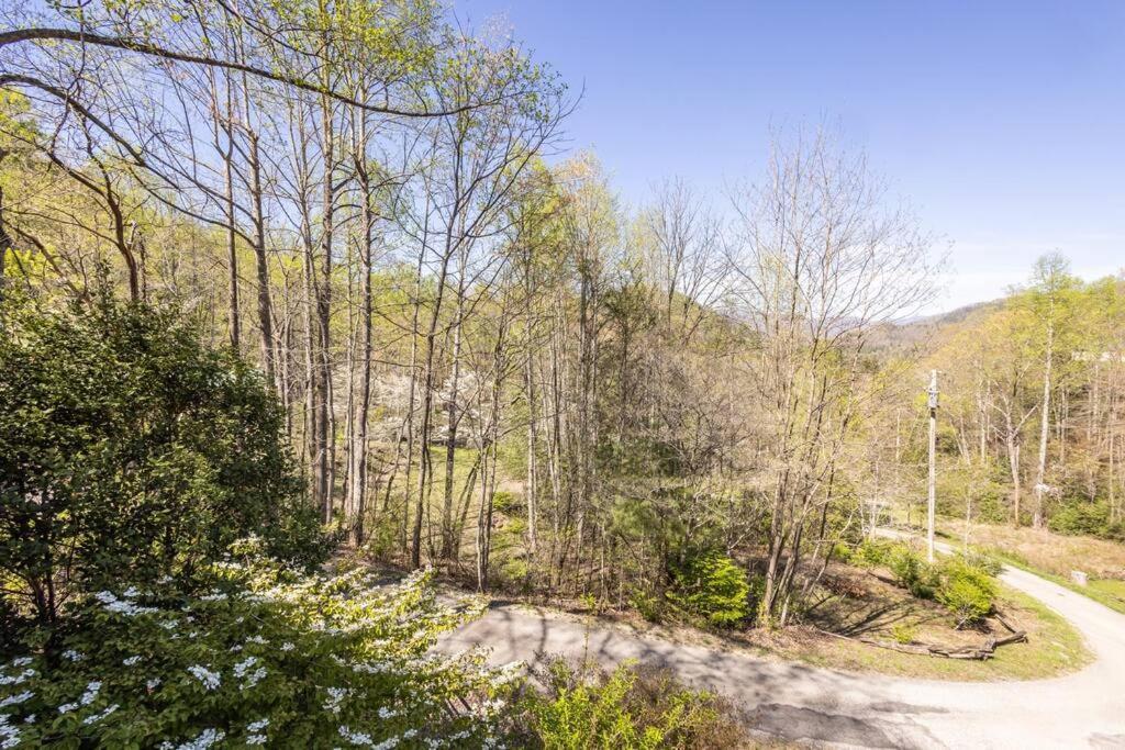 Family Cabin Near Smoky Mtn Entrance Nantahala Роббінсвіль Екстер'єр фото